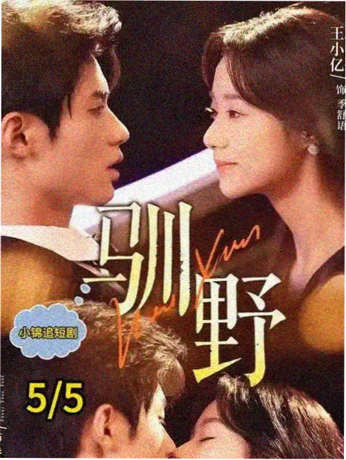 番茄小说 新书北纬四十度封面